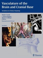 Vasculature of the Brain and Cranial Base