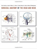 Surgical Anatomy of the Head and Neck