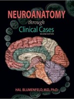 Neuroanatomy Through Clinical Cases,2/e