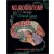 Neuroanatomy Through Clinical Cases,2/e