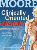 MOORE Clinically Oriented Anatomy 7/E (with thePoint Access Code)