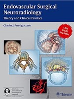 Endovascular Surgical Neuroradiology