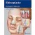 Rhinoplasty : The Experts' Reference