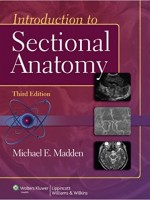 Introduction to Sectional Anatomy