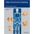 Atlas of Sectional Anatomy : The Musculoskeletal System