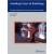 Avoiding Errors in Radiology: Case-Based Analysis of Causes & Preventive Strategies