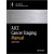 AJCC Cancer Staging Manual, 8e