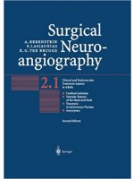 Surgical Neuroangiography : Clinical and Endovascular Treatment Aspects in Adults (2-1 , 2-2 set)