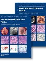 Head and Neck Tumours: WHO Classification of Tumours 5th Edition